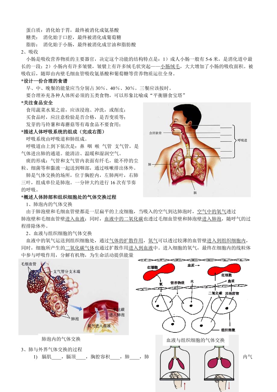 生物七年级下册期末复习提纲-重点9页_第3页