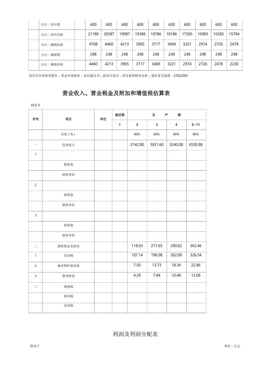 项目投资财务分析报表文档_第5页