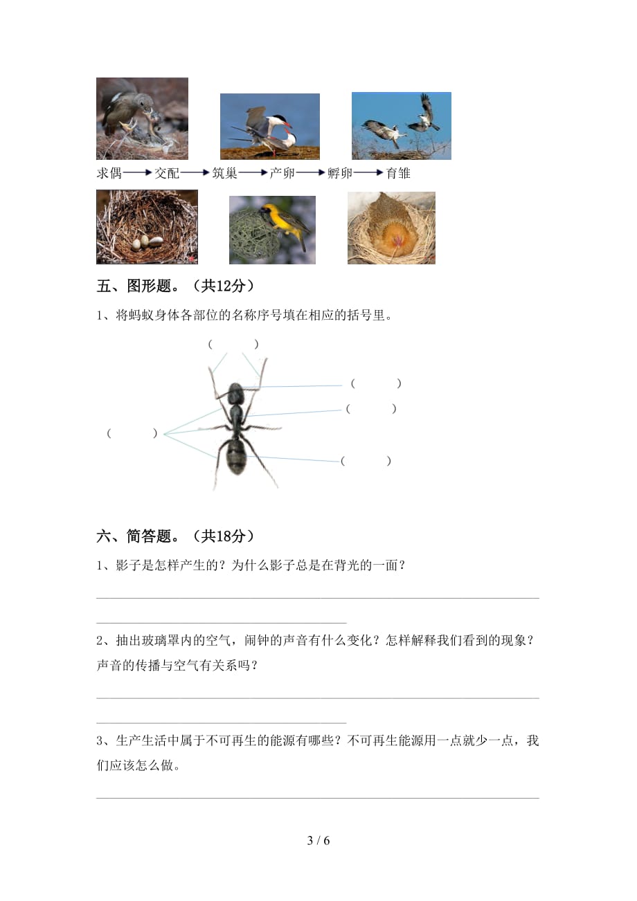 青岛版四年级科学(下册)第一次月考考点题及答案_第3页