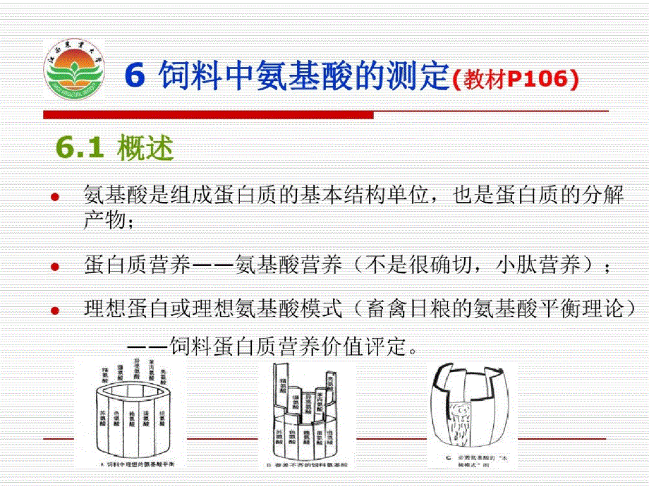 饲料中氨基酸的测定ppt课件_第2页