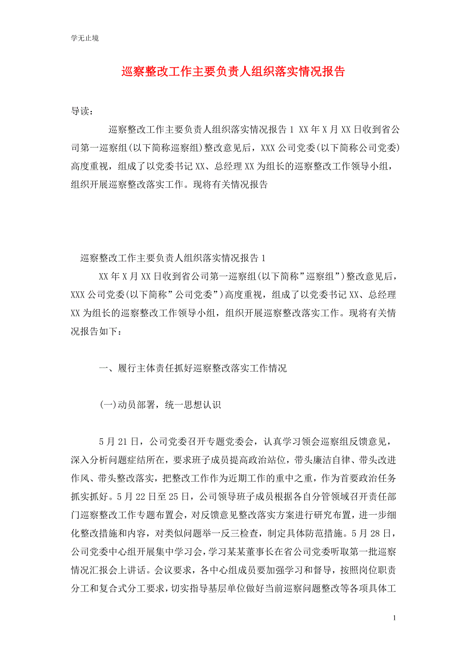 [精选]巡察整改工作主要负责人组织落实情况报告_第1页