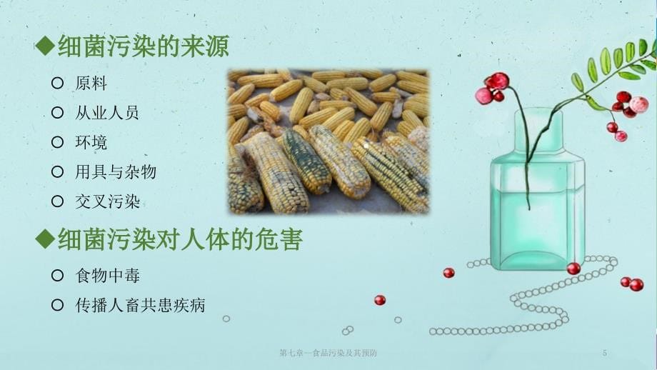 第七章-食品污染及其预防课件_第5页