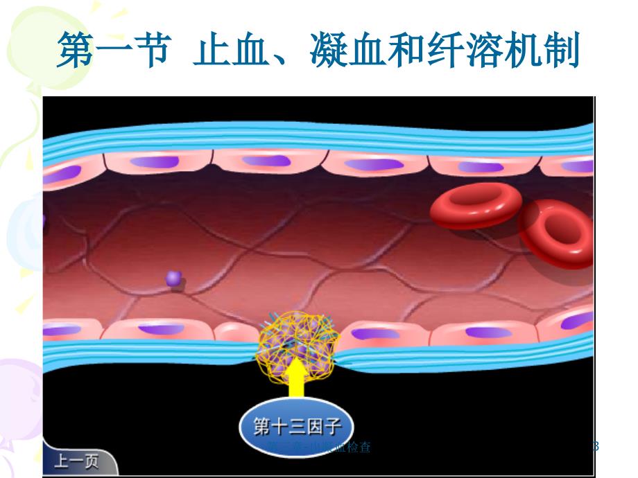 第三章-出凝血检查课件_第3页