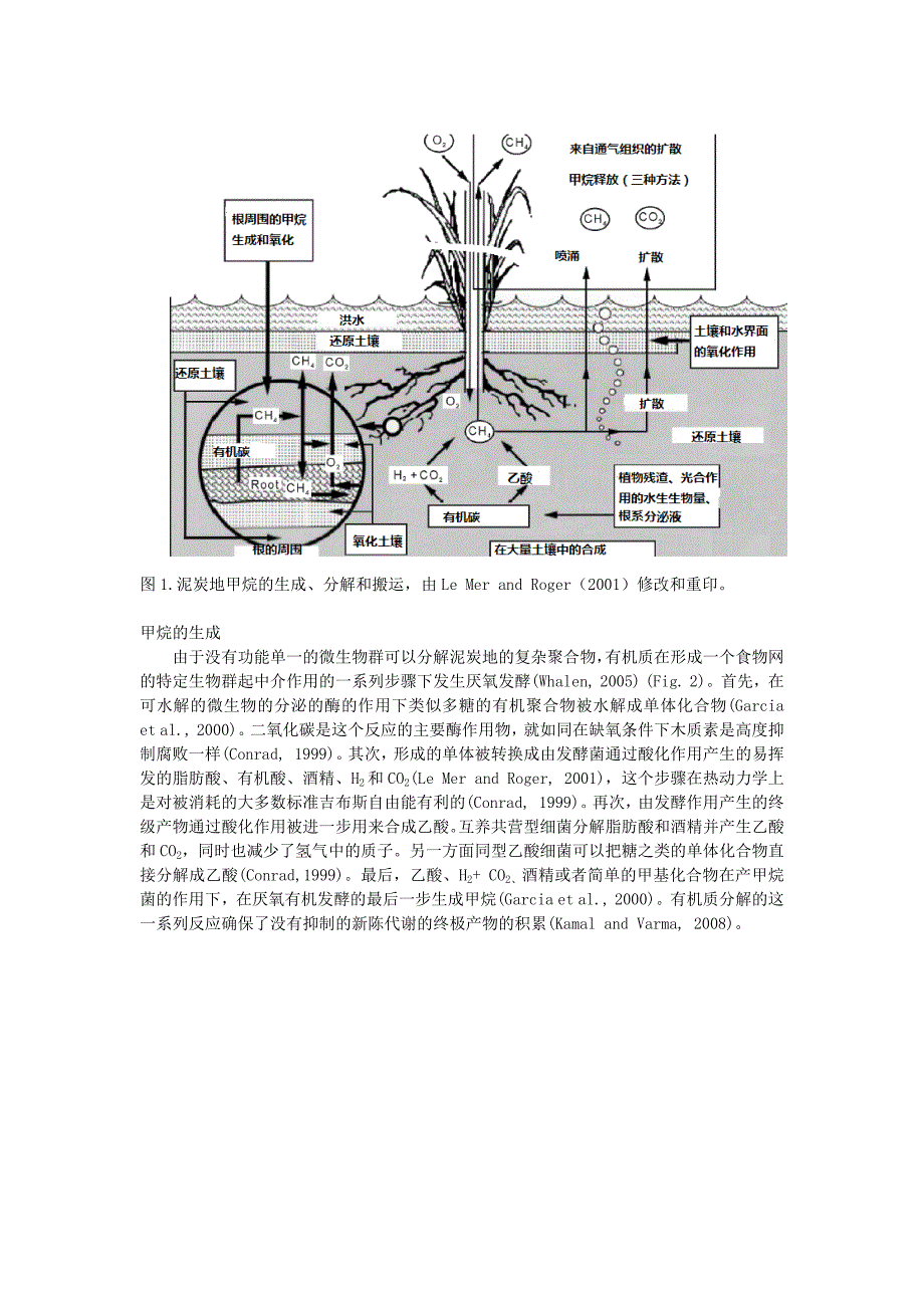 翻译Northrnpeatland_第2页