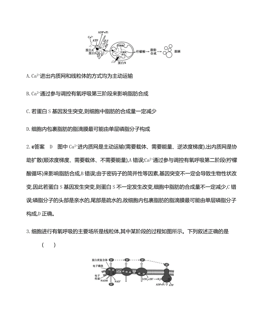 7 小题天天练(7) 2021届高三新高考生物二轮复习_第2页