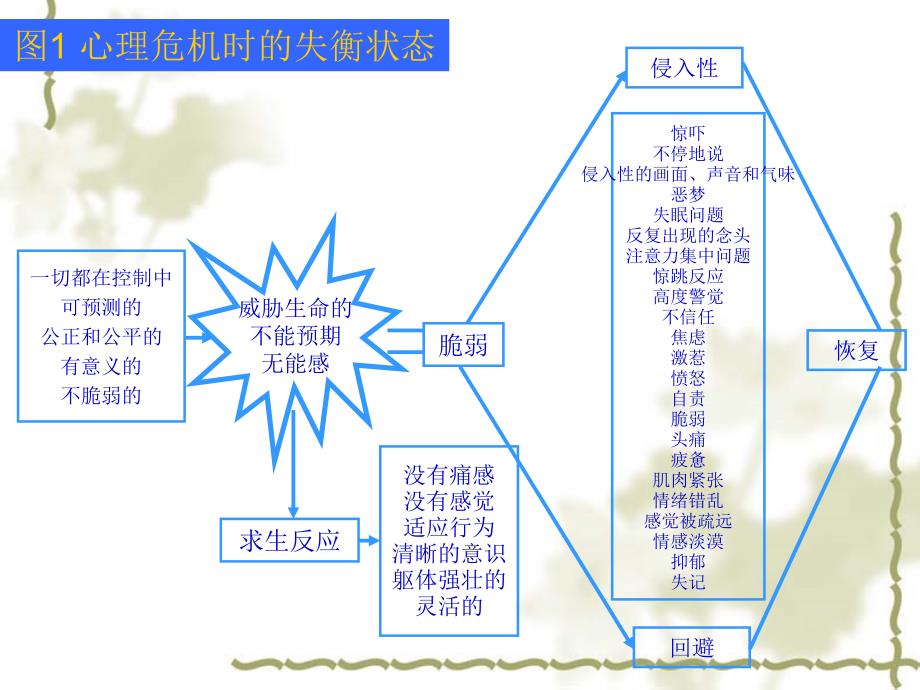 心理危机干预培训教材(PPT 44页)_第3页