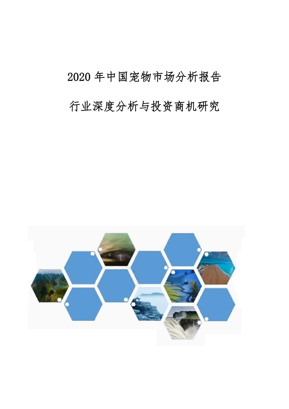 中国宠物市场分析报告-行业深度分析与投资商机研究_第1页