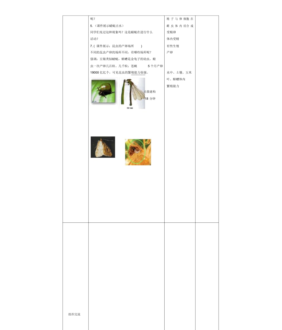 八年级生物上册第四单元第二章第一节昆虫的生殖和发育教案济南版_第3页