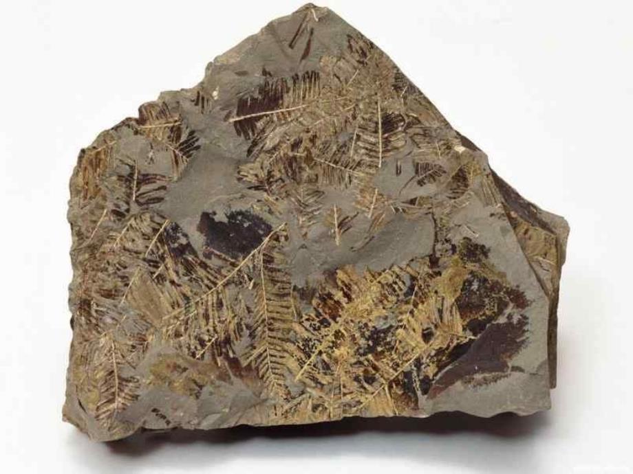 岩石、矿物和我们（教科版）四年级科学下册课件_第4页