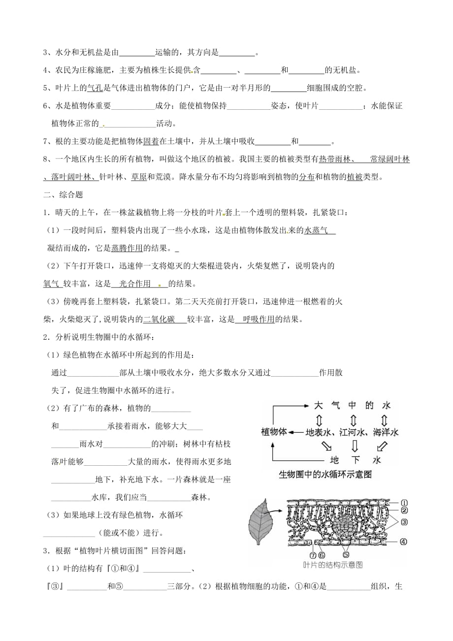 湖北省襄阳四十七中九年级生物中考复习教学案：考点九 绿色植物与生物圈中的水循环_第4页