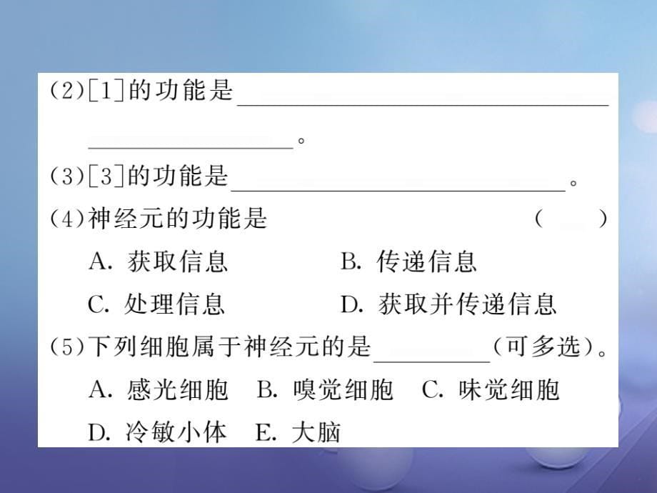 八年级科学上册 3.3 神经调节习题课件 （新版）浙教版[共12页]_第5页