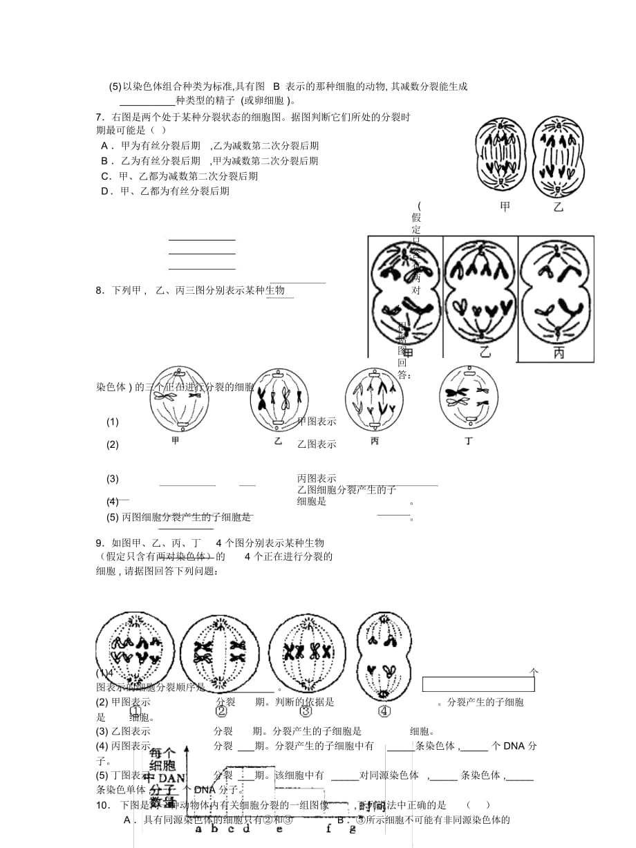 2019最新沪科版生命科学高二上7-3《减数分裂》题型总结_第2页