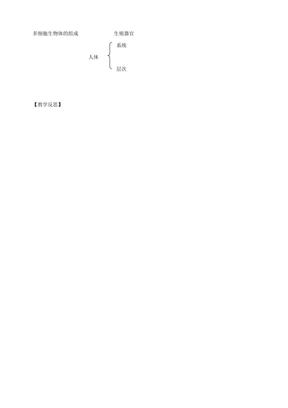 辽宁省灯塔二中七年级生物上册 2.4.2 多细胞生物体的组成导学案（无答案）（新版）苏教版_第5页