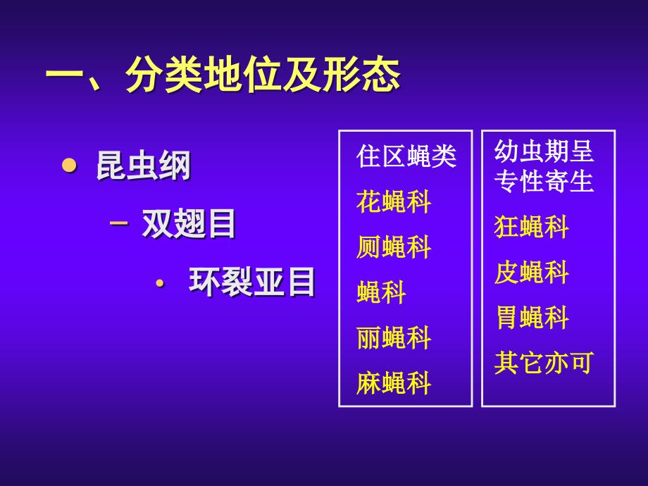 蝇与疾病概述与医学有关蝇种： 寄生性吸血性携带 bb人体寄生虫学_第3页