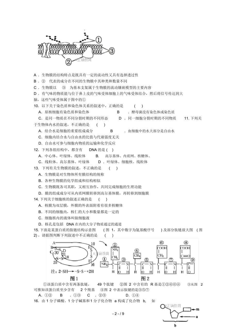 山东省新泰二中2017_2018学年高一生物上学期第三次月考试题_第2页