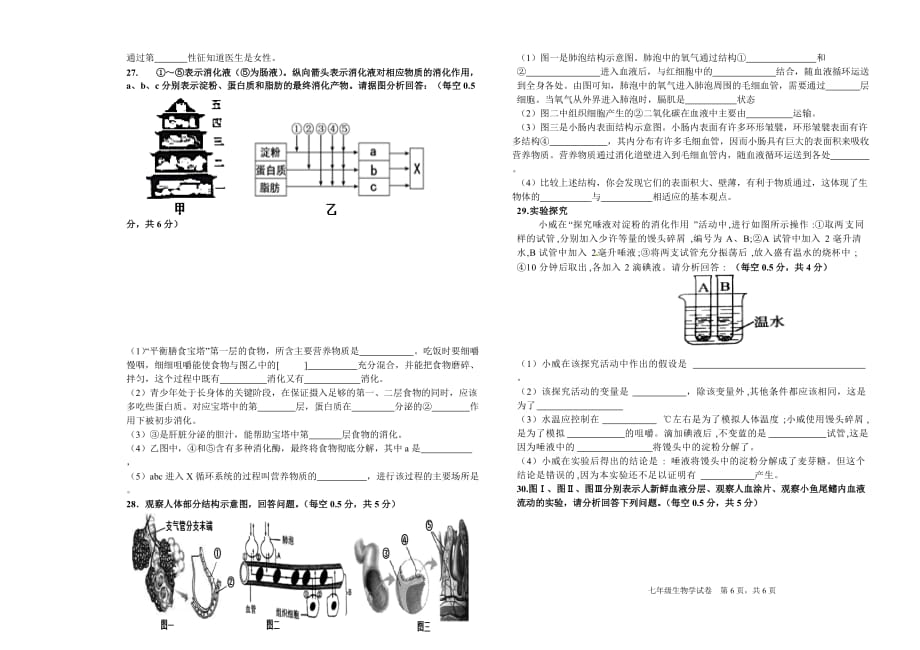 河南省三门峡市陕州区2020-2021学年七年级下学期期中考试生物试题（word版 含答案）_第3页