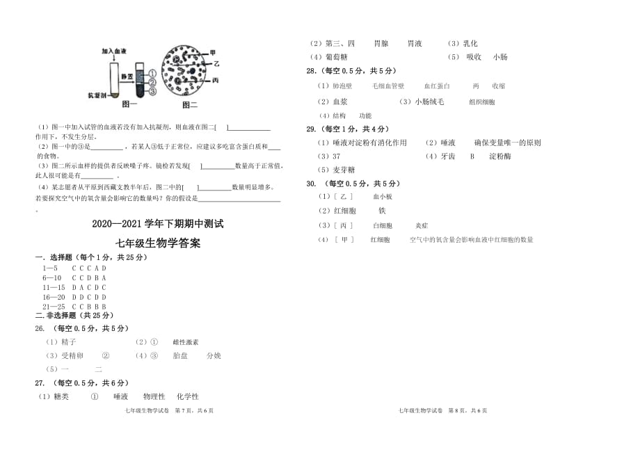 河南省三门峡市陕州区2020-2021学年七年级下学期期中考试生物试题（word版 含答案）_第4页