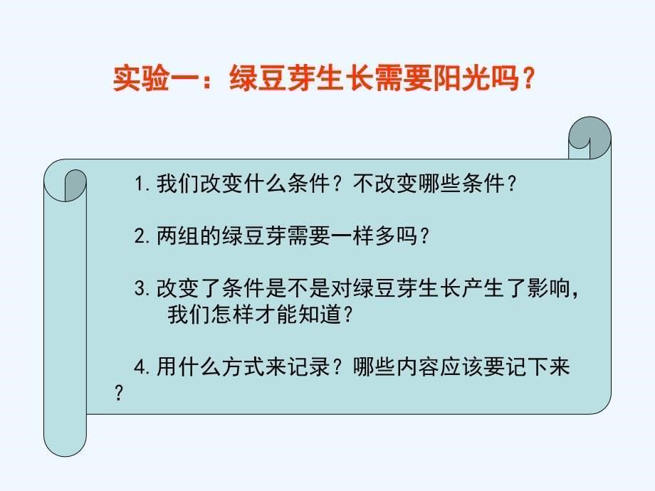 观察绿豆芽的生长（教科版科学四年级上册）课件_第5页