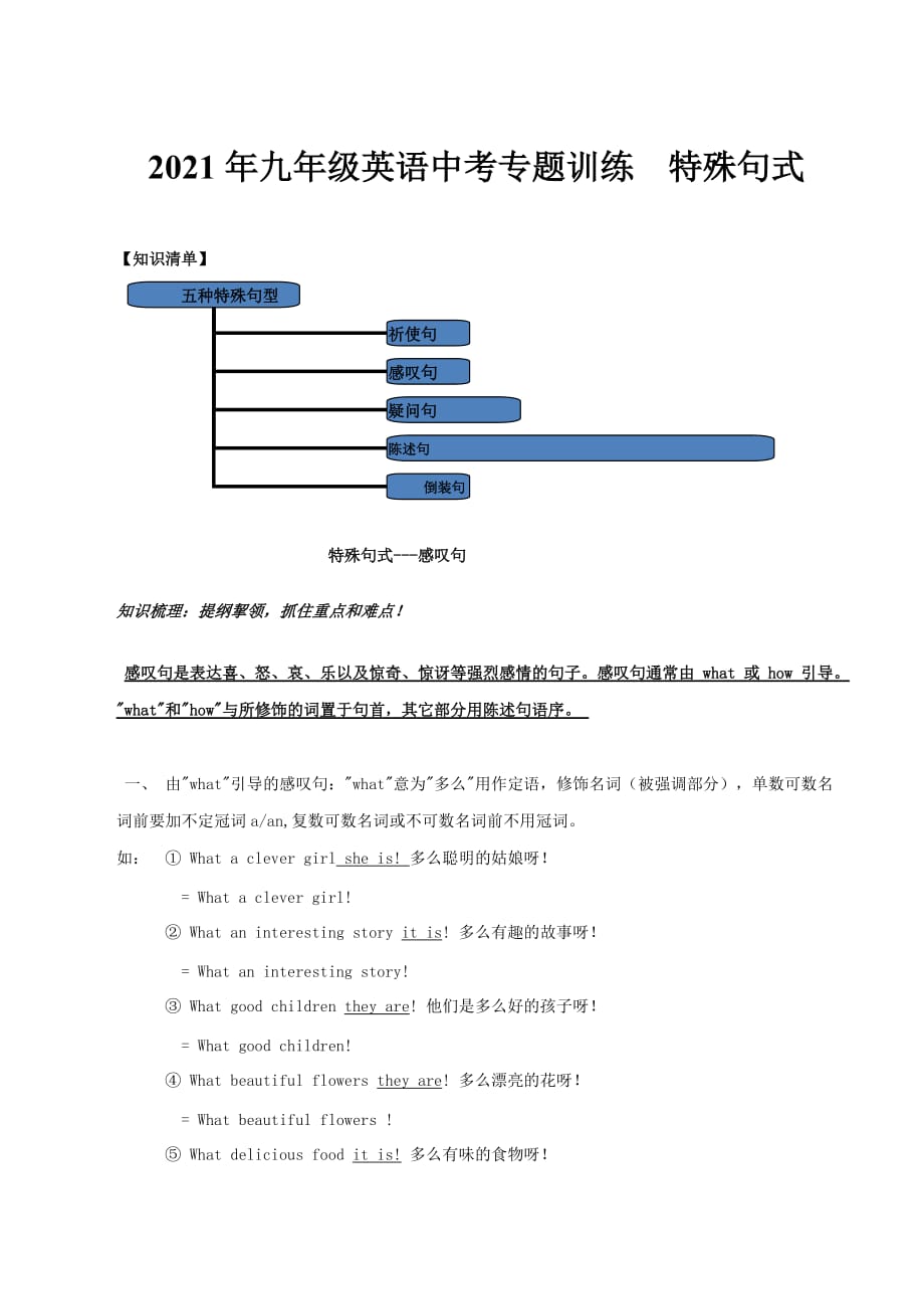 2021年九年级英语中考专题训练特殊句式_第1页