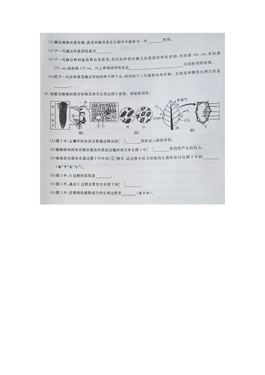 湖北省宜城市刘猴中学九年级生物中考模拟试题(二)(扫描版无答案)_第4页