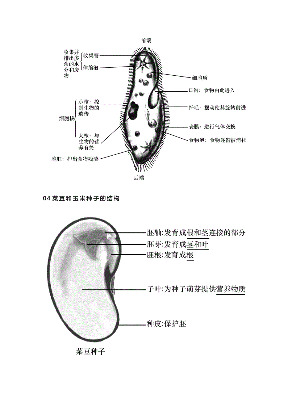 [荐]中考初中生物：必考知识点结构图解总结_第2页