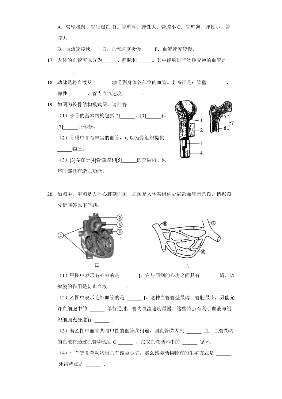 济南版七年级生物下册第三单元第3章人体内的物质运输单元测试卷_第3页