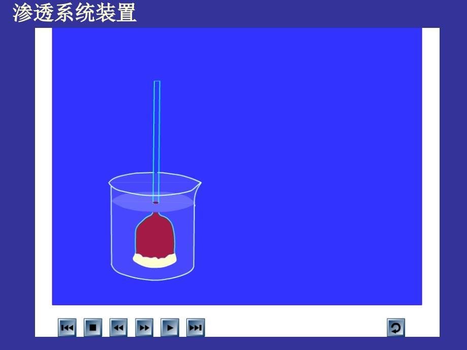 2020——2021学年高一下学期人教版生物 必修一4.1物质跨膜运输的实例课件_第5页