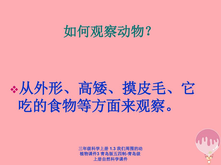 【最新】三年级科学上册 1.3 我们周围的动植物课件3_第2页