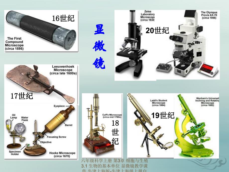 【最新】六年级科学上册 第3章 细胞与生殖 3.1 生物的基本单位 显微镜教学课件 牛津上海版-牛津上海级上册自然科学课件_第1页