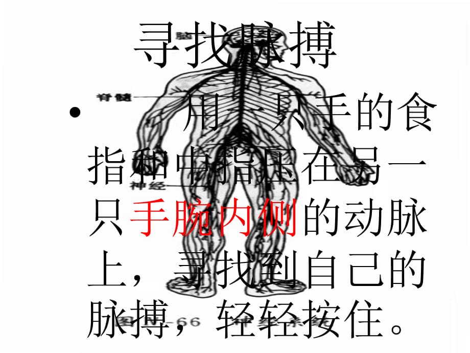 【最新】六年级科学上册 4.2《登上健康快车》课件3_第2页