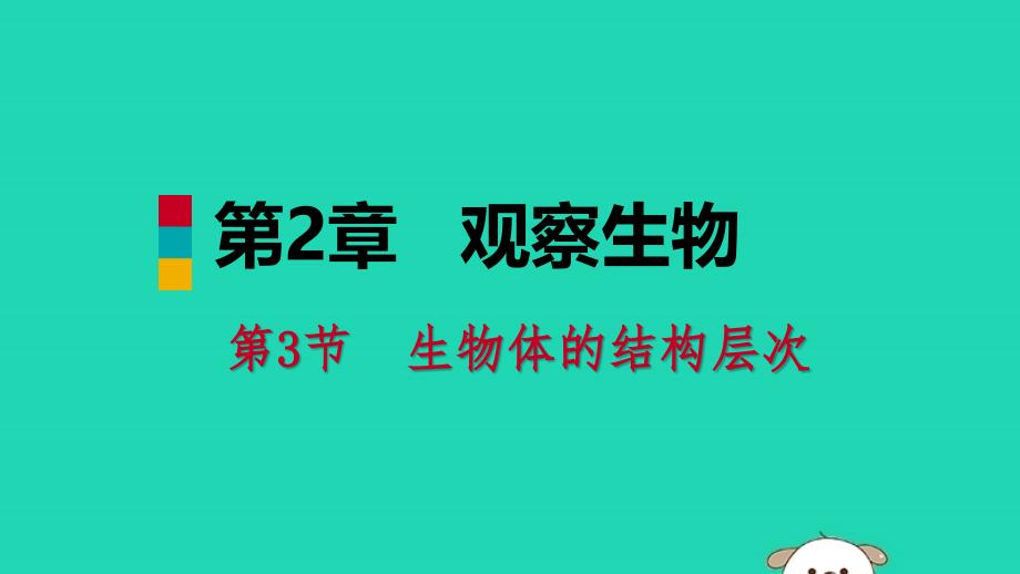 【最新】七年级科学上册 第2章 观察生物 第3节 生物体的结构层次 2.3.1 导学课件 （新版）浙教版-（新版）浙教级上册自然科学课件_第1页