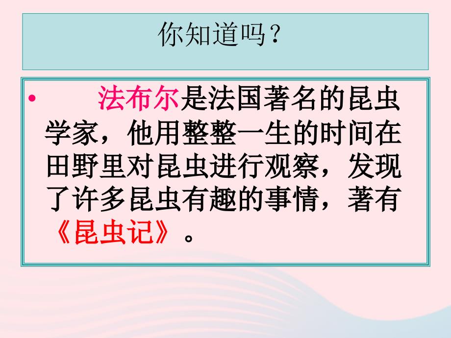 【最新】六年级科学下册 第一单元 2《放大镜下的昆虫世界》课件1_第2页