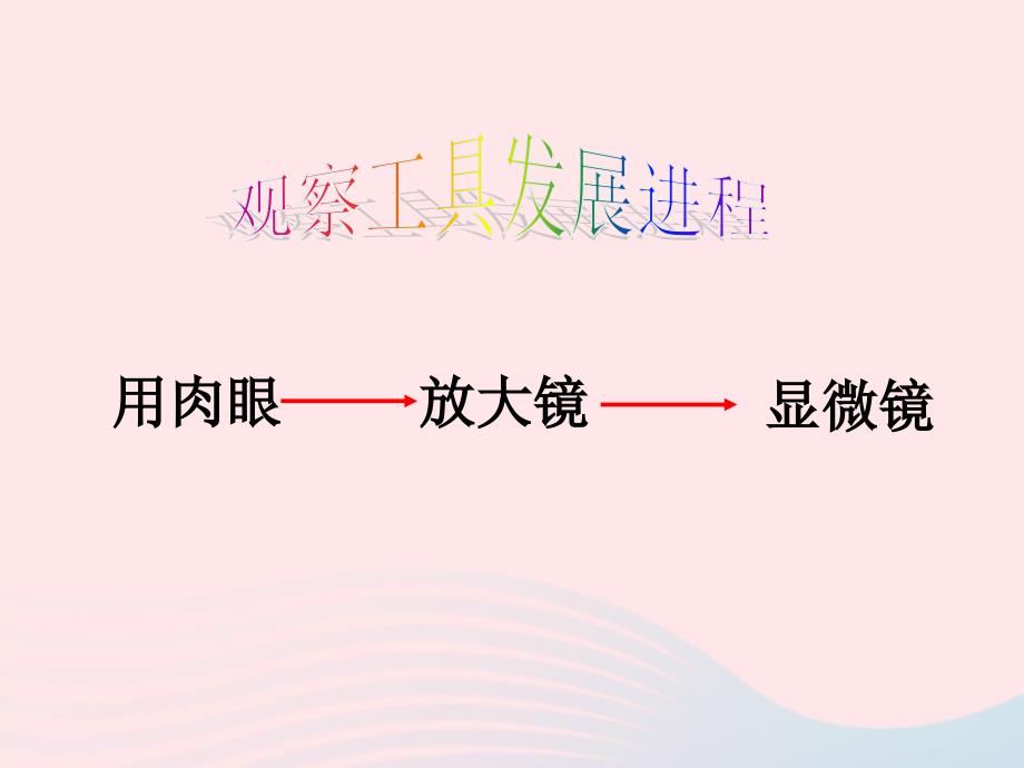 【最新】六年级科学下册 第一单元 8和我们课件4_第2页