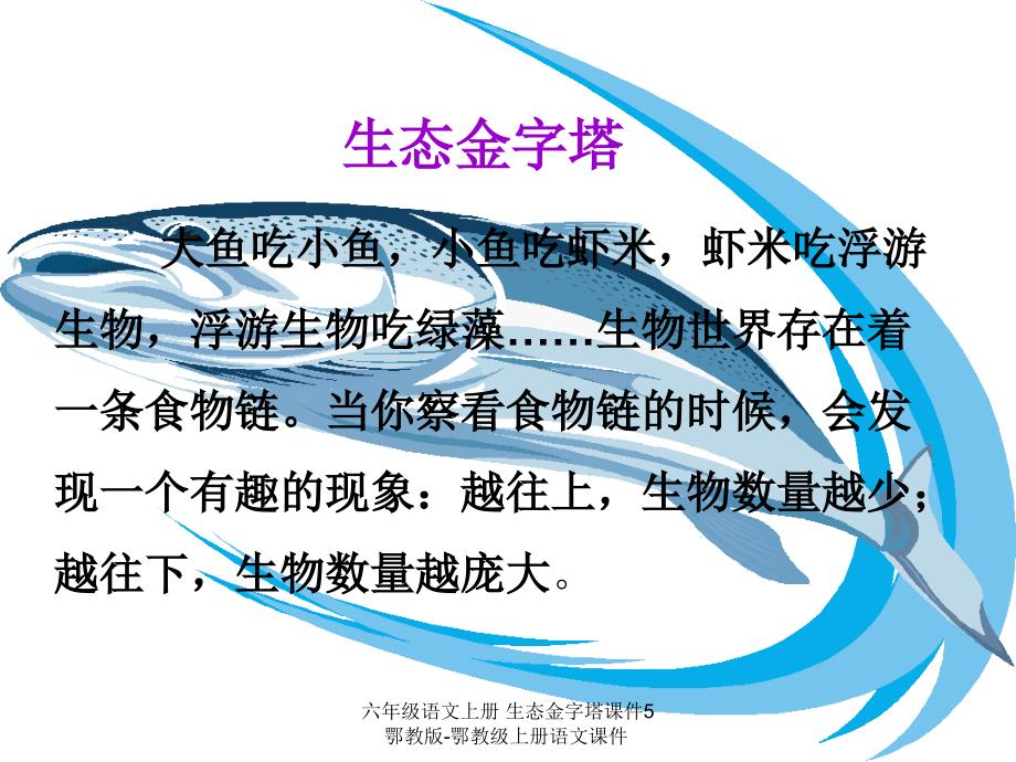 【最新】六年级语文上册 生态金字塔课件5_第1页