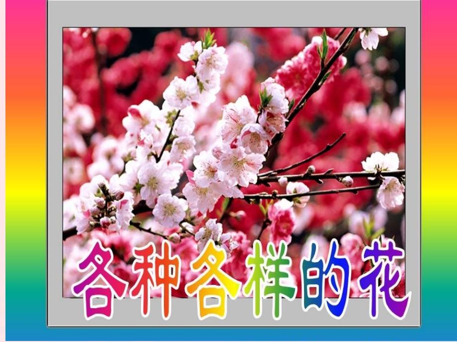 【最新】四年级科学下册 2 新的生命 2 各种各样的花课件4_第1页