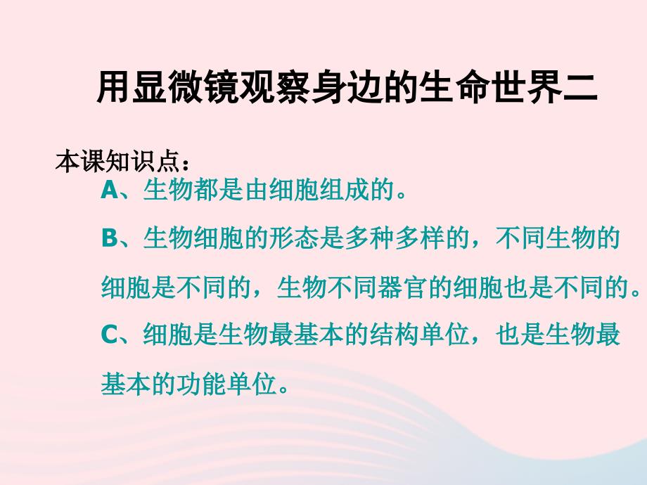 【最新】六年级科学下册 第一单元 6 用显微镜观察身边的生命世界(二)课件2_第2页