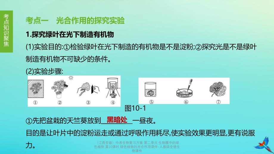 【最新】中考生物复习方案 第二单元 生物圈中的绿色植物 第10课时 绿色植物的光合作用课件_第2页