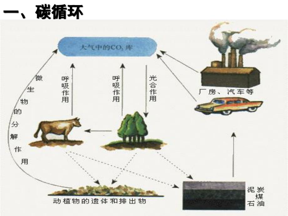 高中生物必修三5.3生态系统的物质循环ppt_第4页