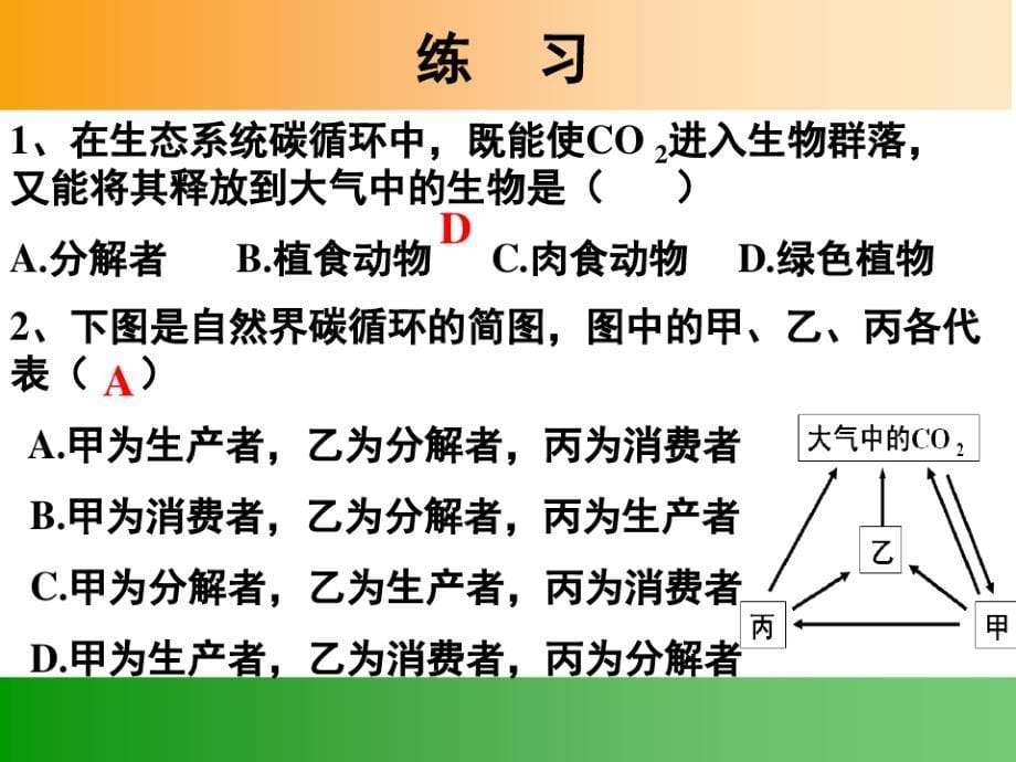 高中生物必修三5.3生态系统的物质循环ppt_第5页