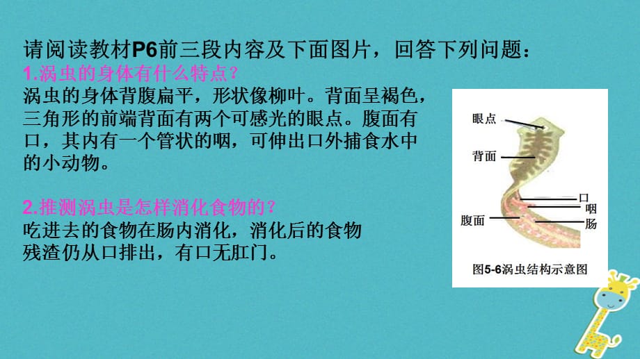 【最新】八年级生物上册 第五单元 第一章 第一节 腔肠动物和扁形动物《扁形动物》课件 （新版）新人教版-（新版）新人教级上册生物课件_第2页