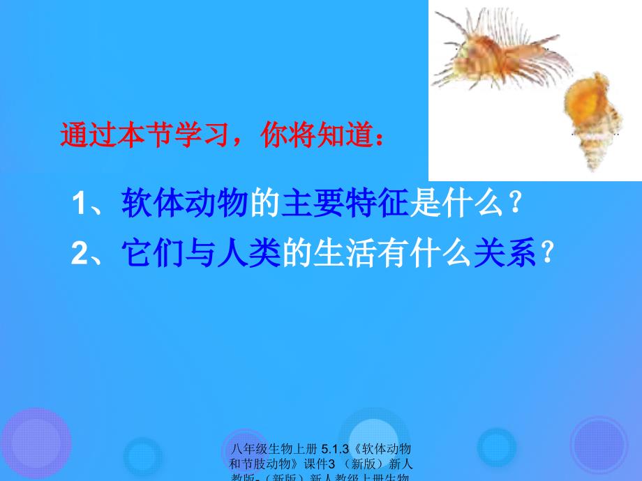 【最新】八年级生物上册 5.1.3《软体动物和节肢动物》3_第2页