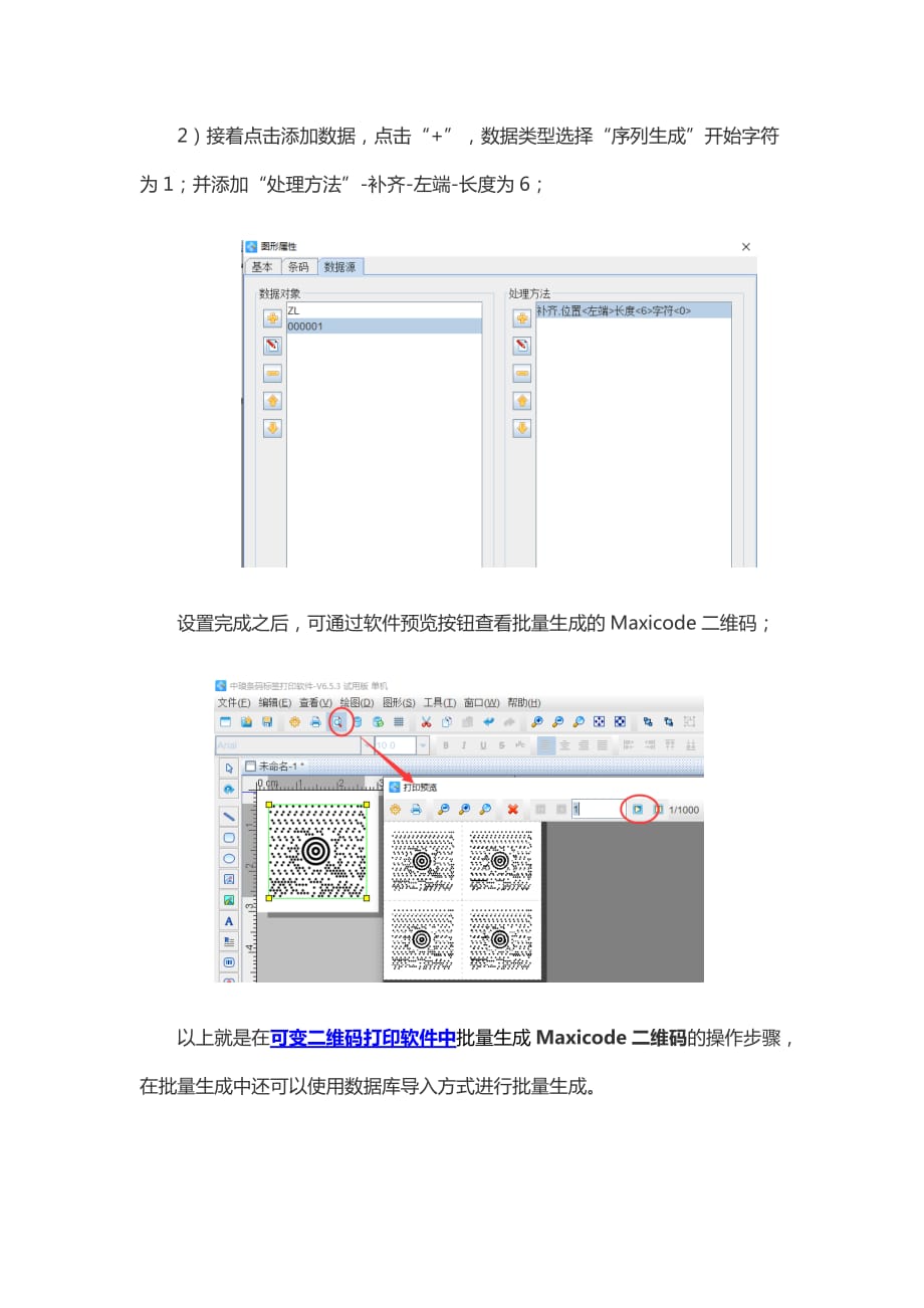 可变二维码打印软件之批量生成Maxicode二维码_第3页