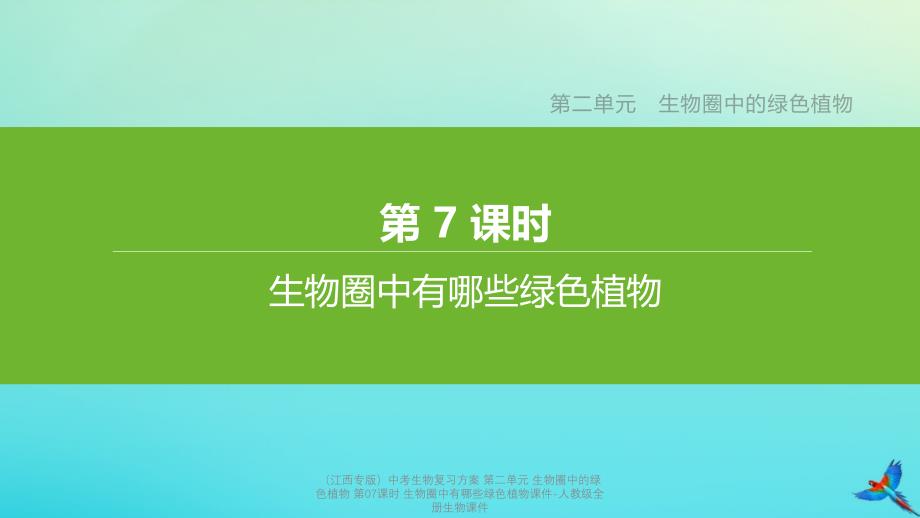 【最新】中考生物复习方案 第二单元 生物圈中的绿色植物 第07课时 生物圈中有哪些绿色植物课件_第1页