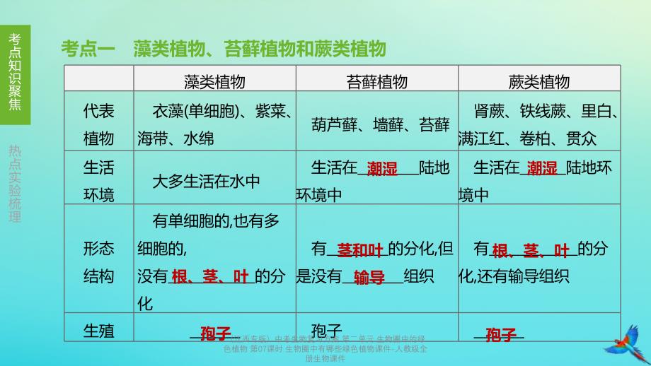 【最新】中考生物复习方案 第二单元 生物圈中的绿色植物 第07课时 生物圈中有哪些绿色植物课件_第2页