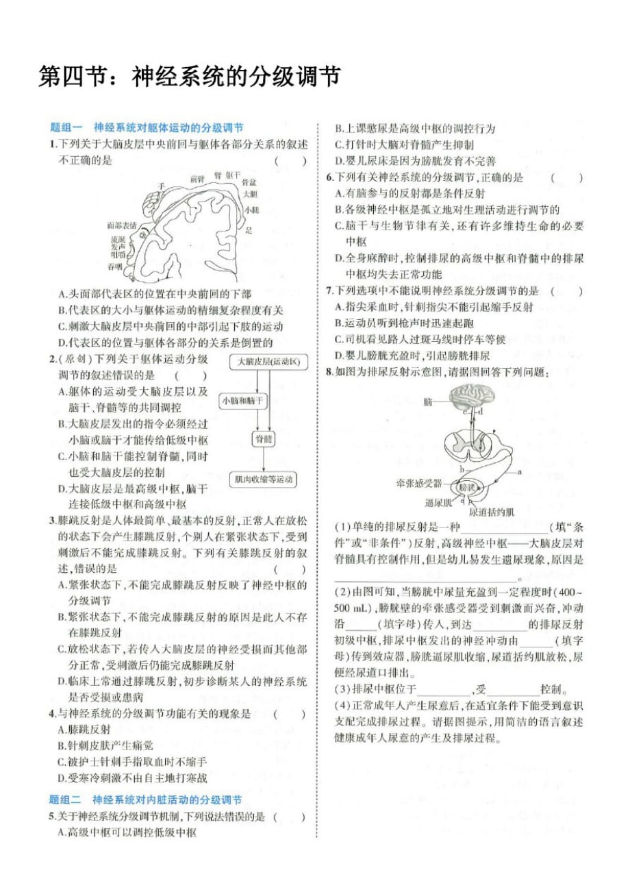 高中生物必修一练习：第二章神经调节第四节：神经系统的分级调节(附答案)_第1页