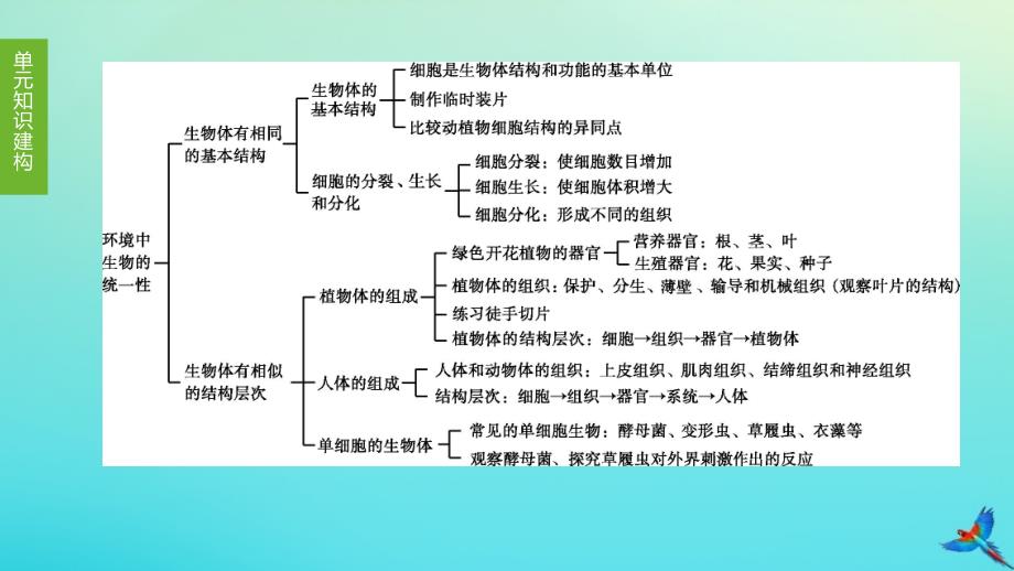 【最新】中考生物复习方案 第4单元 环境中生物的统一性 第06课时 生物体有相同的基本结构和相似的结构层次课件_第1页