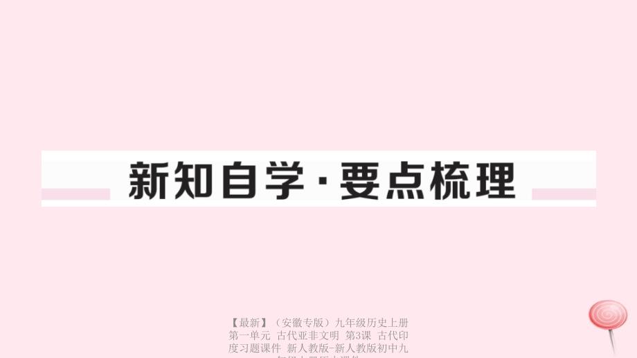 【最新】九年级历史上册 第一单元 古代亚非文明 第3课 古代印度习题课件 新人教版-新人教版初中九年级上册历史课件_第2页