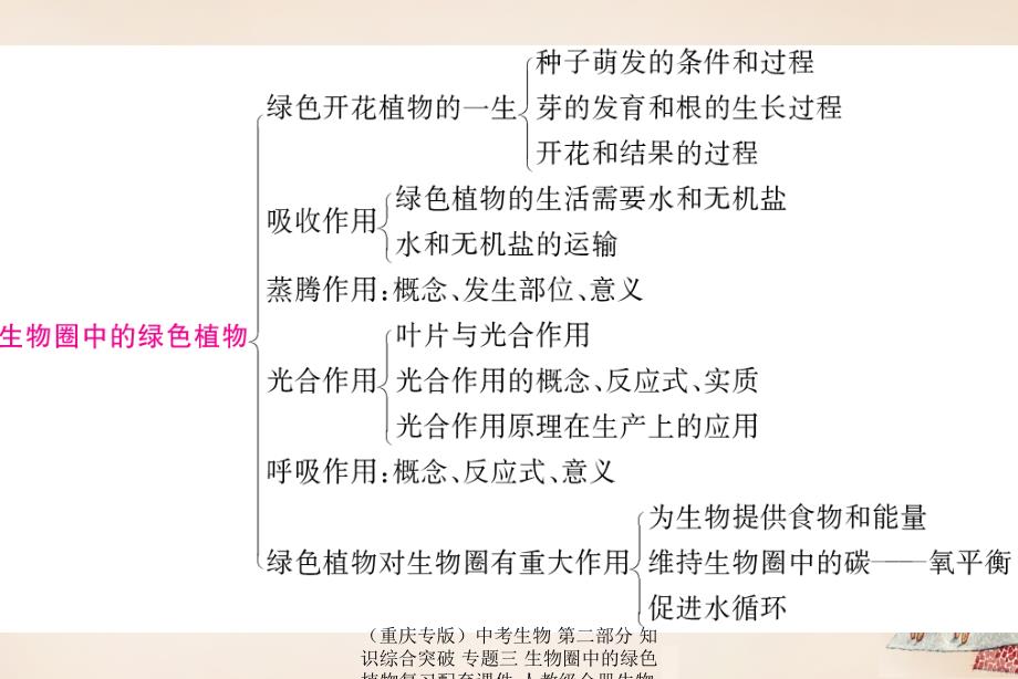 【最新】中考生物 第二部分 知识综合突破 专题三 生物圈中的绿色植物复习配套课件-人教级全册生物课件_第2页