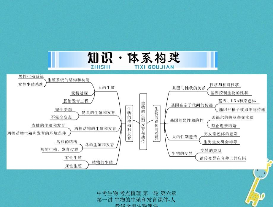 【最新】中考生物 考点梳理 第一轮 第六章 第一讲 生物的生殖和发育课件-人教级全册生物课件_第2页