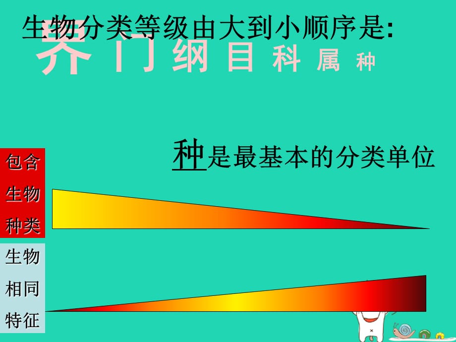 【最新】八年级生物上册 6.2认识生物的多样性_第2页